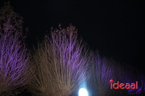 De Belevenis in natuurgebied Engbergen (07-11-2025)