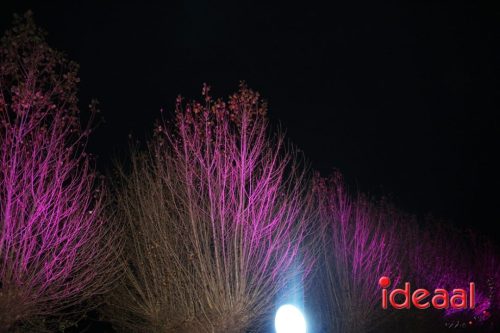 De Belevenis in natuurgebied Engbergen (07-11-2025)