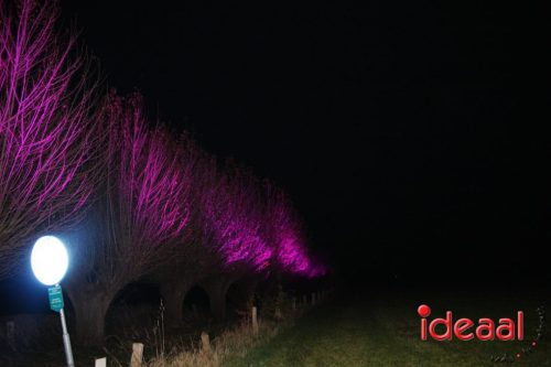 De Belevenis in natuurgebied Engbergen (07-11-2025)