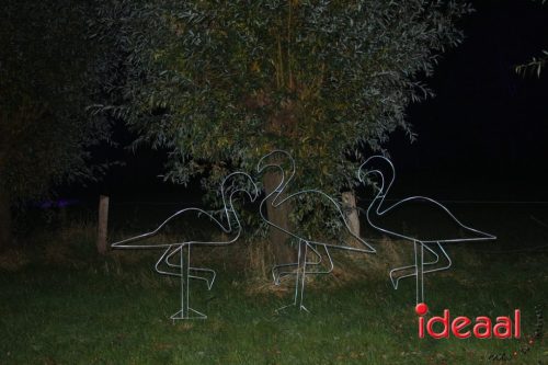 De Belevenis in natuurgebied Engbergen (07-11-2025)