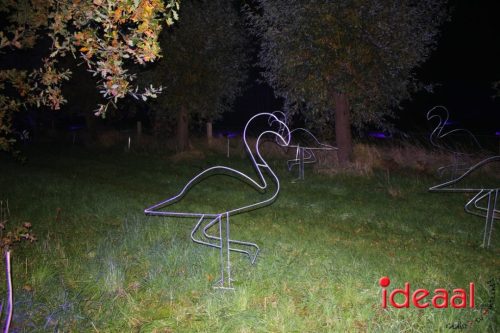 De Belevenis in natuurgebied Engbergen (07-11-2025)