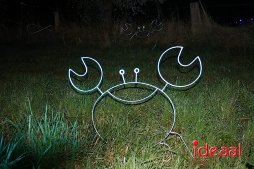 De Belevenis in natuurgebied Engbergen (07-11-2025)