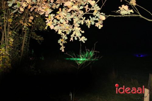 De Belevenis in natuurgebied Engbergen (07-11-2025)