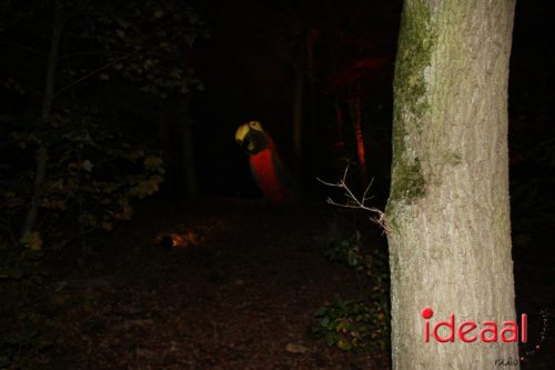 De Belevenis in natuurgebied Engbergen (07-11-2025)