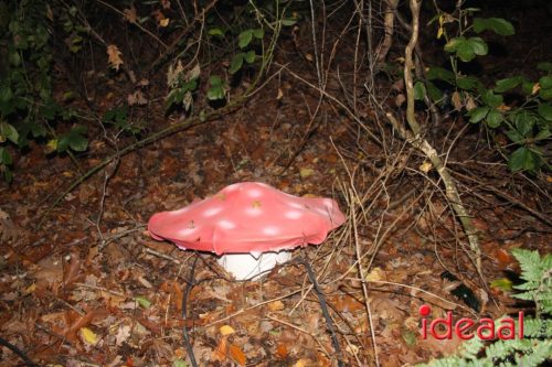 De Belevenis in natuurgebied Engbergen (07-11-2025)