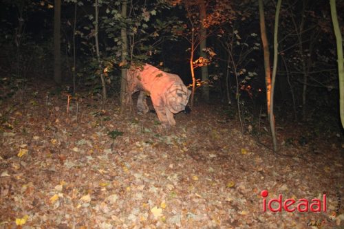 De Belevenis in natuurgebied Engbergen (07-11-2025)