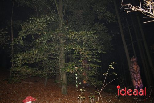 De Belevenis in natuurgebied Engbergen (07-11-2025)