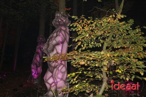 De Belevenis in natuurgebied Engbergen (07-11-2025)