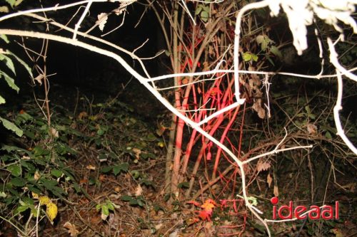 De Belevenis in natuurgebied Engbergen (07-11-2025)