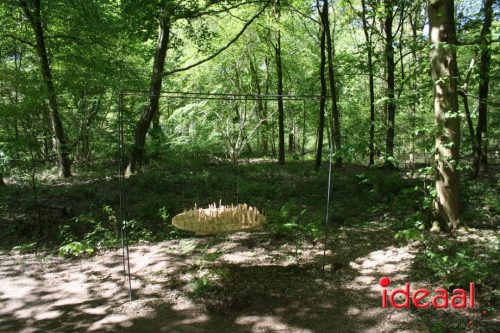 Kunstwandelroute Huis Bergh (26-04-2026)