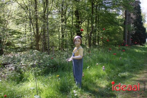 Kunstwandelroute Huis Bergh (26-04-2026)