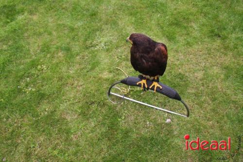 Zelhemse Zomerfeesten (16-07-2023)