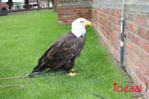 Zelhemse Zomerfeesten (16-07-2023)