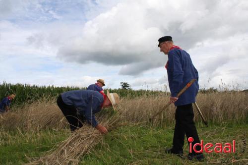 Zomerfeest bij Smedekinck Zelhem - deel 1 (13-08-2023)