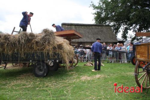 Zomerfeest bij Smedekinck Zelhem - deel 2 (13-08-2023)