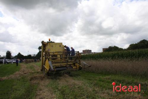 Zomerfeest bij Smedekinck Zelhem - deel 2 (13-08-2023)