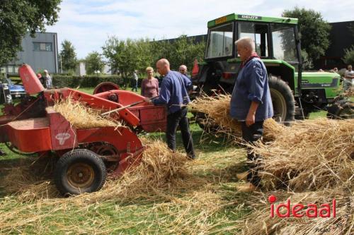 Zomerfeest bij Smedekinck Zelhem - deel 2 (13-08-2023)