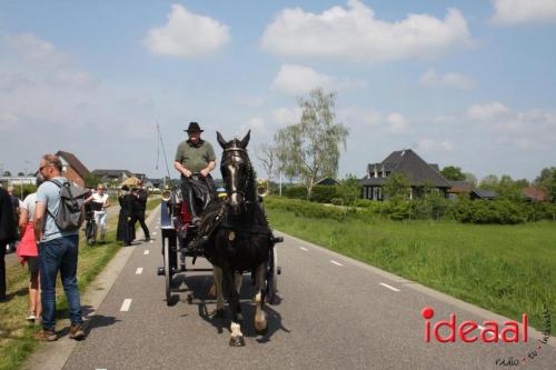 Broodweging bij Muldersfluite - deel 2 (09-05-2024)