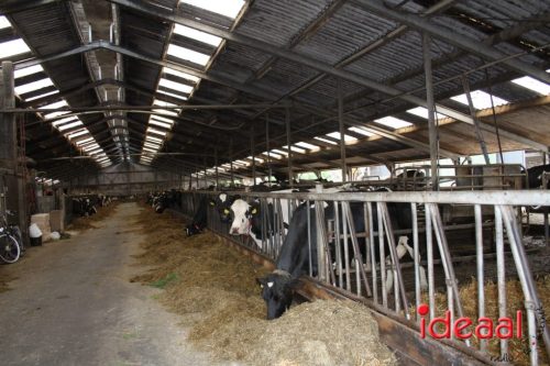 3e editie Rolling Tweed - deel 1 (15-06-2025)