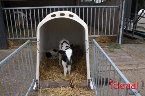 3e editie Rolling Tweed - deel 1 (15-06-2025)