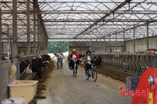 3e editie Rolling Tweed - deel 1 (15-06-2025)