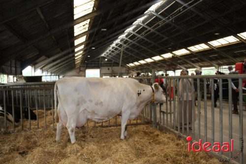 3e editie Rolling Tweed - deel 1 (15-06-2025)