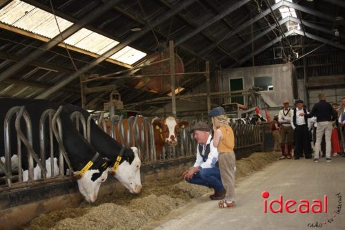 3e editie Rolling Tweed - deel 1 (15-06-2025)