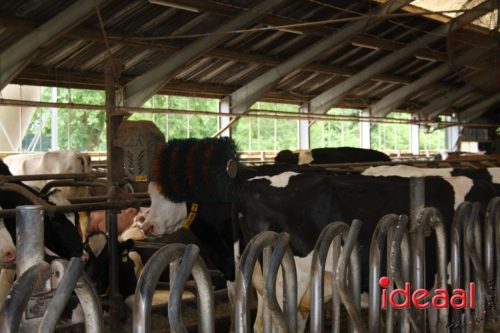 3e editie Rolling Tweed - deel 1 (15-06-2025)