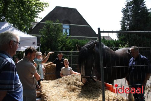 Zelhemse Zomerfeesten - deel 3 (12-07-2025)