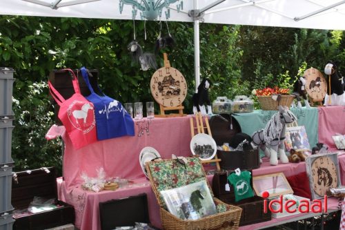 Zelhemse Zomerfeesten - deel 3 (12-07-2025)