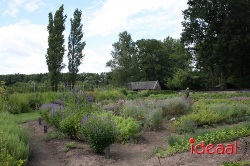 Lancering podcasts Vordense kastelen (12-07-2025)