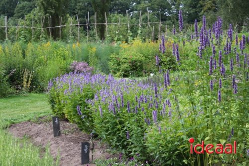 Lancering podcasts Vordense kastelen (12-07-2025)