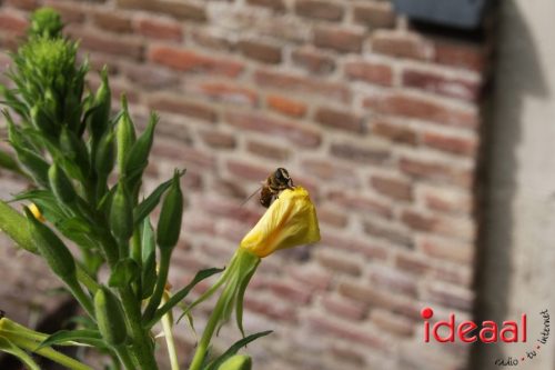 Lancering podcasts Vordense kastelen (12-07-2025)