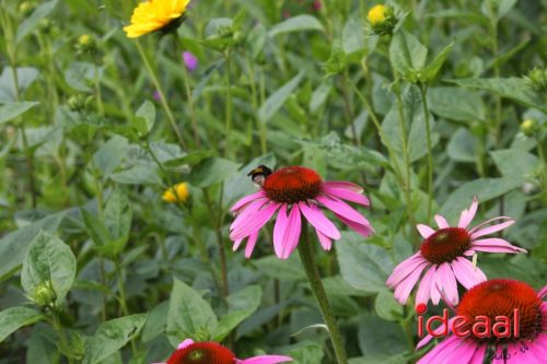 Lancering podcasts Vordense kastelen (12-07-2025)