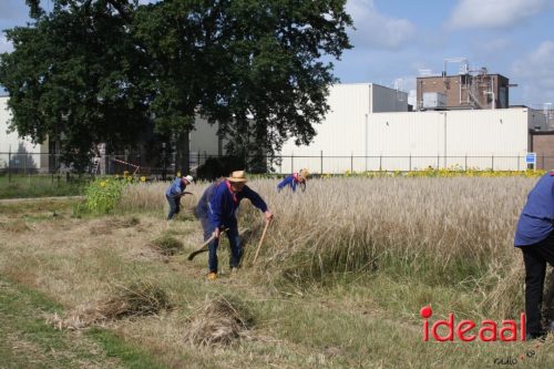 Folkloristisch Zomerfeest Smedekinck - deel 1 (10-08-2025)