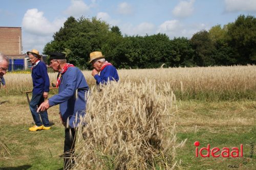 Folkloristisch Zomerfeest Smedekinck - deel 1 (10-08-2025)