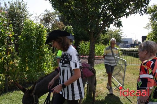Folkloristisch Zomerfeest Smedekinck - deel 2 (10-08-2025)