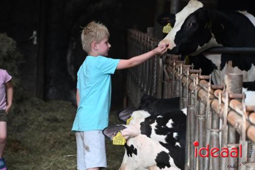 Streekproductenmarkt Lievelde - deel 2 (20-05-2024)