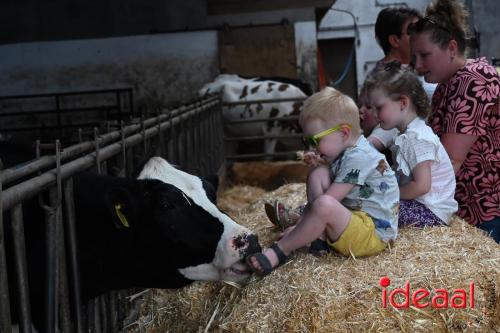 Streekproductenmarkt Lievelde - deel 2 (20-05-2024)