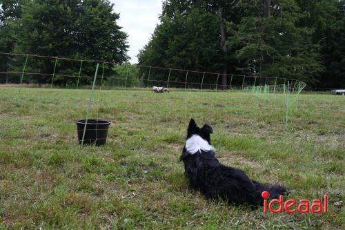 25 jaar Onderholt - deel 2 (28-06-2025)