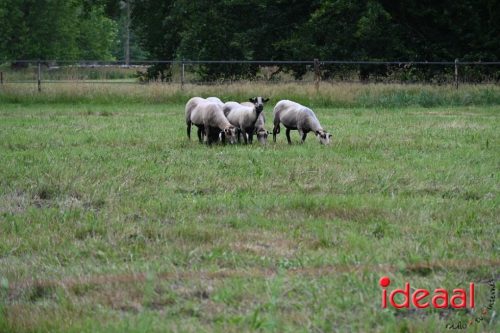 25 jaar Onderholt - deel 2 (28-06-2025)
