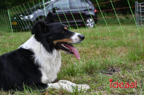 25 jaar Onderholt - deel 2 (28-06-2025)