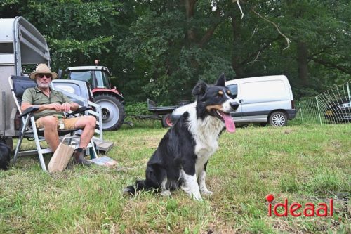 25 jaar Onderholt - deel 2 (28-06-2025)