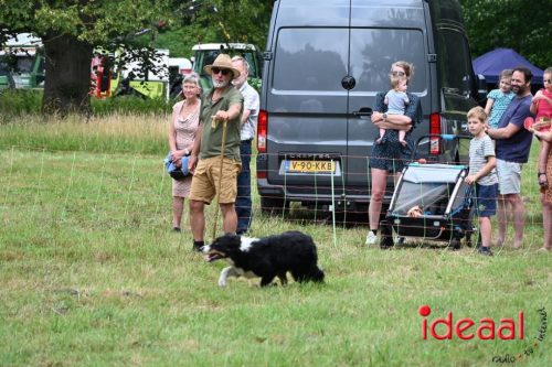 25 jaar Onderholt - deel 2 (28-06-2025)