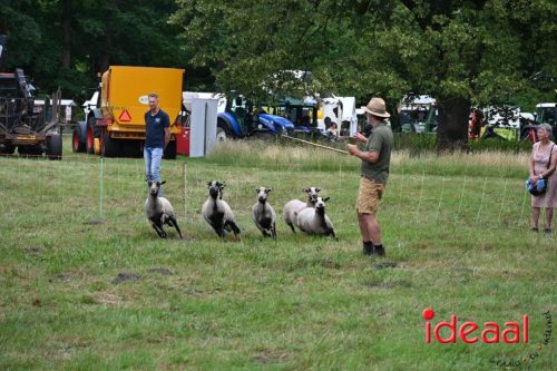 25 jaar Onderholt - deel 2 (28-06-2025)