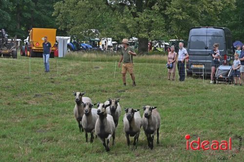 25 jaar Onderholt - deel 2 (28-06-2025)