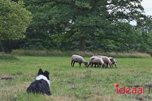 25 jaar Onderholt - deel 2 (28-06-2025)