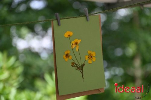 25 jaar Onderholt - deel 3 (28-06-2025)