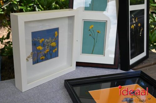 25 jaar Onderholt - deel 3 (28-06-2025)