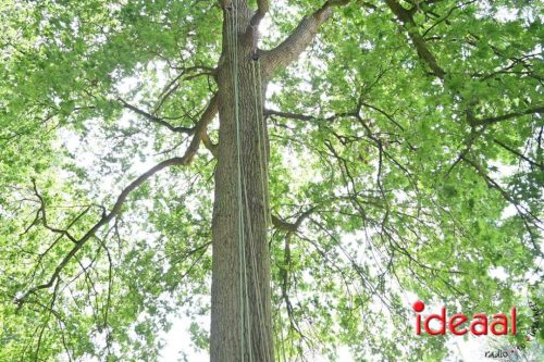 25 jaar Onderholt - deel 3 (28-06-2025)